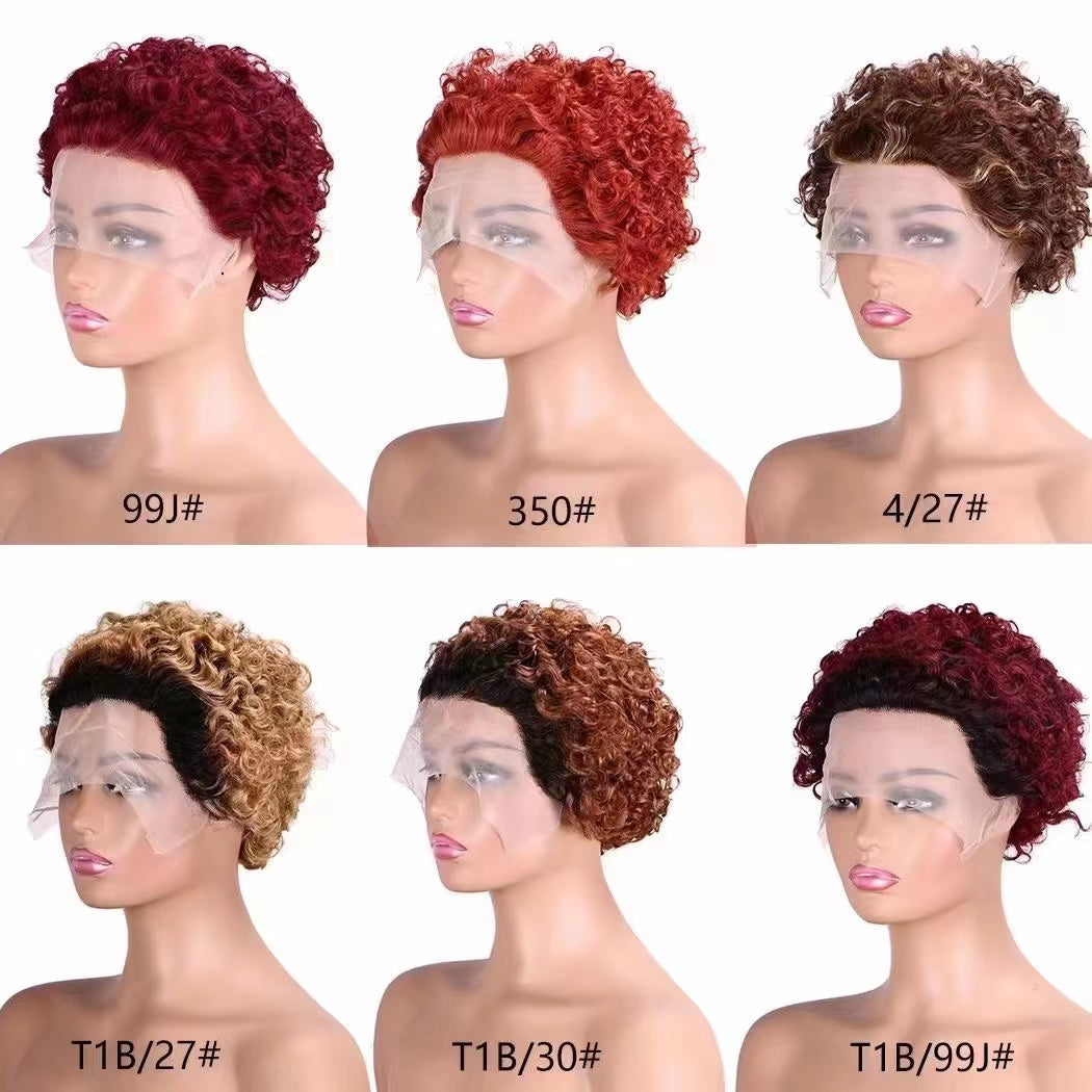 Sassy Curly Short Pixie Wigs 7 Different Color Can Choose Flash Sale